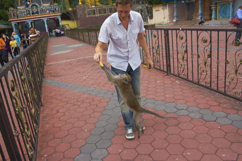 Занялся дрессировкой Занялся дрессировкой